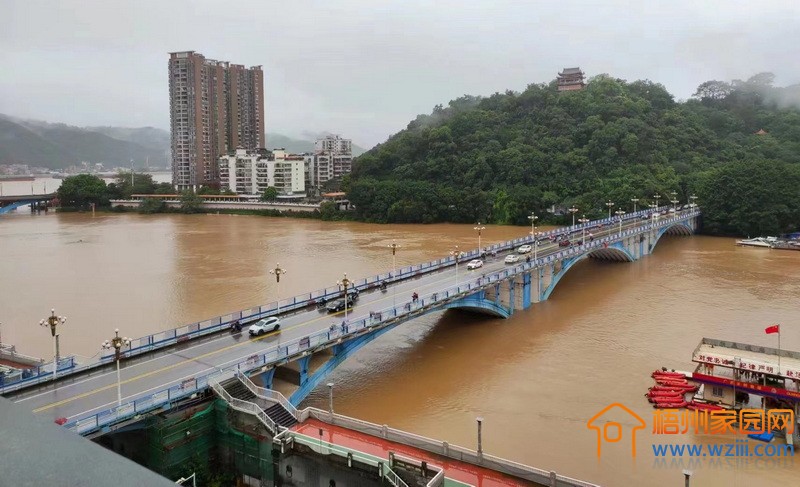 梧州市提升洪涝灾害应急响应为Ⅲ级