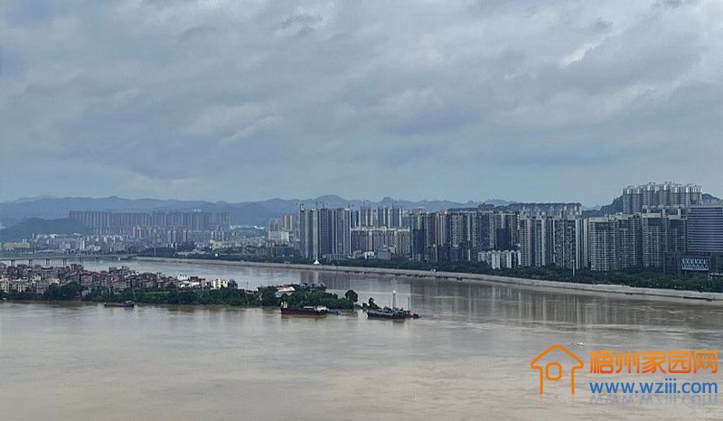 梧州市提升洪涝灾害应急响应为Ⅲ级